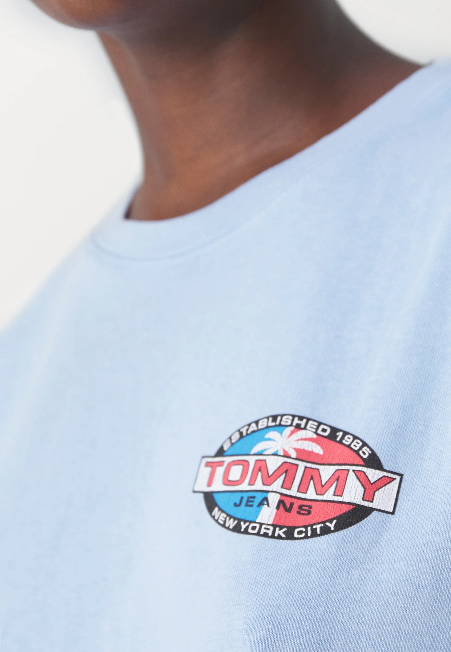 Tommy Hilfiger - Men's T-Shirt